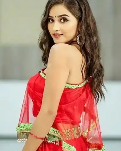Call Girls Service Srivilliputhur