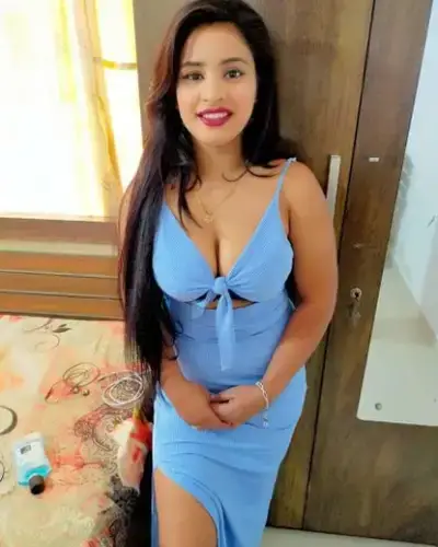 Srivilliputhur Escorts